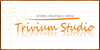 Cursos Formacion Profesional Trivium Studio