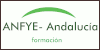 Cursos Formacion Profesional Anfye- Andalucía