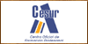 Cursos Formacion Profesional CESUR Online