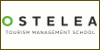 Cursos Formacion Profesional EDO (ostelea distancia/ semipresencial)